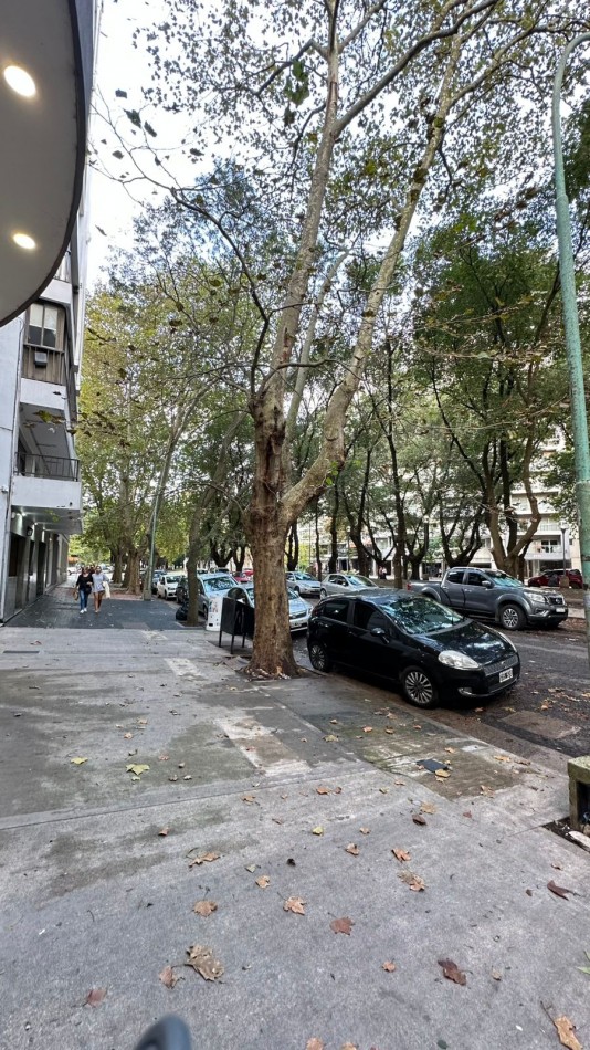 Alquiler Local Ideal Oficina